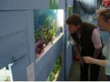 Isle of Purbeck Aquarium, Wool