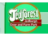 Jedforest Deer & Farm Park