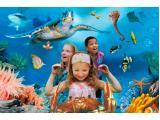 National Sea Life Centre - Birmingham