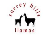 Surrey Hills Llamas - Guildford