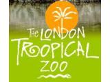 The Tropical Zoo - Brentford