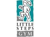 Little Steps Gym Walsall