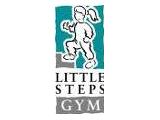 Little Steps Gym - Leigh-On-Sea