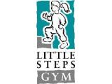 Little Steps Gym Harlow