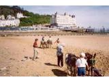 Llandudno Beach