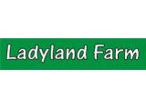 Ladyland Farm