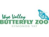 Wye Butterfly Zoo