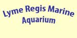 Lyme Regis Aquariums & Sealife Centres