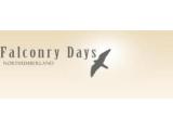 Falconry Days- Hexham
