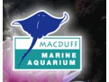 Macduff Marine Aquarium