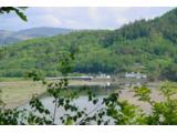 Mawddach Woodlands RSPB Reserve