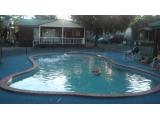 The Dolphin Swimming Pool