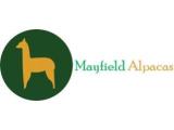 Mayfield Alpacas - Sheffield