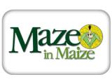 Maze in Maize