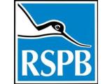 RSPB Minsmere