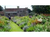 Mottistone Manor Garden