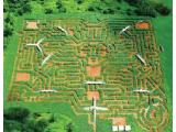 Museum of Mazes