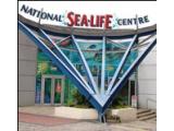 National Sea Life Centre - Birmingham