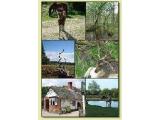 New Forest Reptile Centre, Lyndhurst
