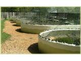 New Forest Reptile Centre, Lyndhurst