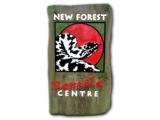 New Forest Reptile Centre - Lyndhurst