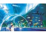 Blue Reef Aquarium - Hastings