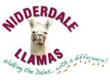 Nidderdale Llamas