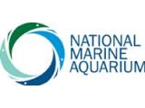 National Marine Aquarium - Plymouth