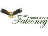 North Devon Falconry - Newton Tracey