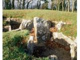 NYMPSFIELD LONG BARROW