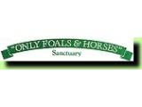 Only Foals and Horses Sanctuary - Oswaldtwistle