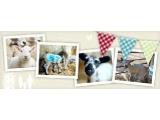 Manydown Family Fun Basingstoke