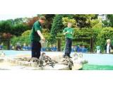 Birdworld, Farnham