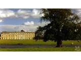 Petworth House and Park - Perworth