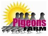 Pigeons Farm - Peterborough