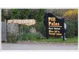 Pili Palas Butterfly and Mini Beast World - Anglesey