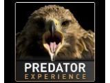 Predator Experience