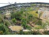 Eden Projects new Rainforest Aerial Walkway Preview tours: Thursday 6 - Wednesday 26 June 2013