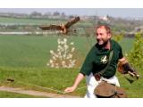 Raptor Foundation