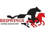 Redwings Horse Sanctuary - Mountains Visitor Centre