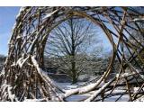 RHS Harlow Carr