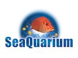 Rhyl SeaQuarium