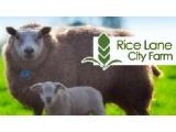 Rice Lane City Farm - Walton