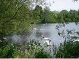 Rickmansworth Aquadrome Nature Reserve