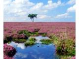 North York Moors National Park