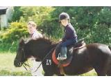 Roylands Riding Stables