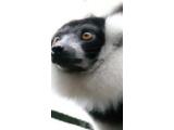 Camperdown country park & Wildlife Centre, Dundee