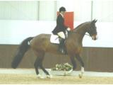 Witcham Equestrian Centre