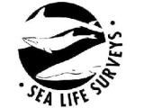 Sea Life Surveys