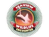 Seaview Wildlife Encounter - Springvale